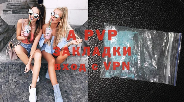 ГАЛЛЮЦИНОГЕННЫЕ ГРИБЫ Верея