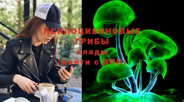 герыч Верхний Тагил