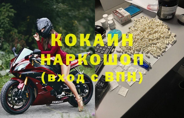 ГАЛЛЮЦИНОГЕННЫЕ ГРИБЫ Верея