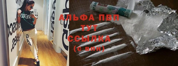 ГАЛЛЮЦИНОГЕННЫЕ ГРИБЫ Верея