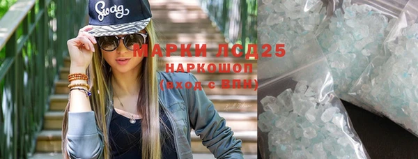 ГАЛЛЮЦИНОГЕННЫЕ ГРИБЫ Верея